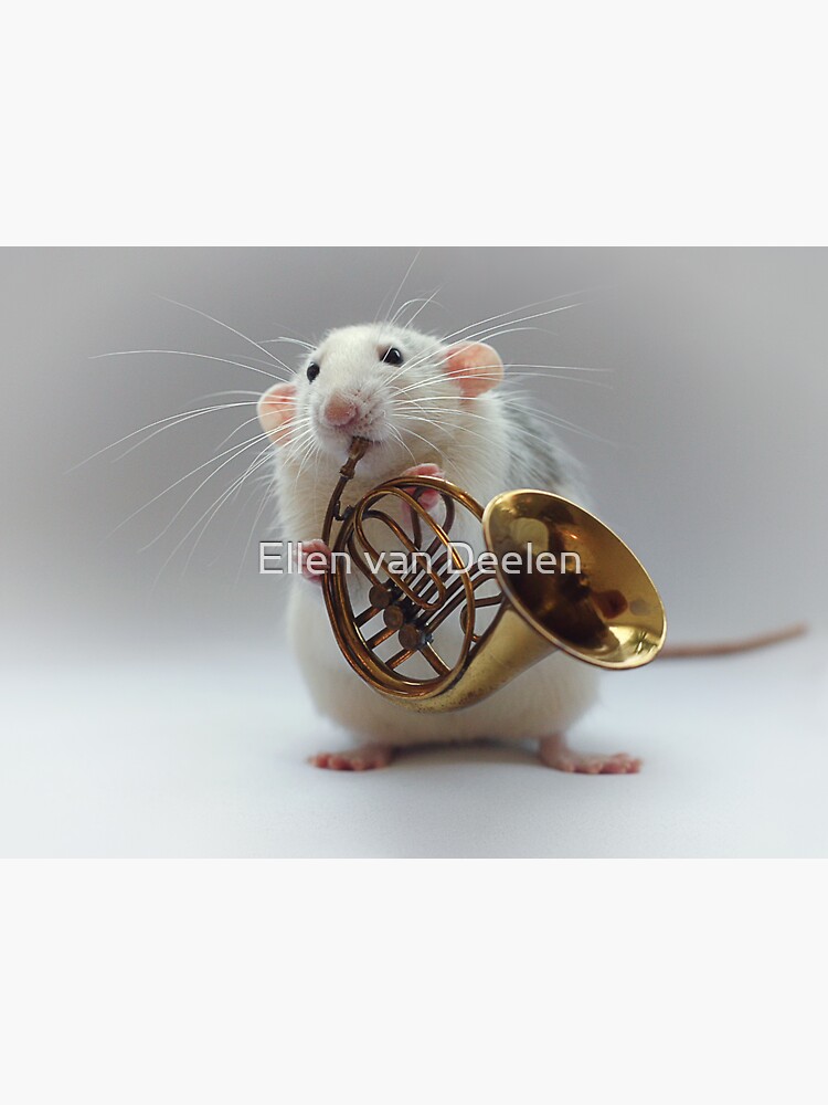 Moppy and his french horn by Ellen