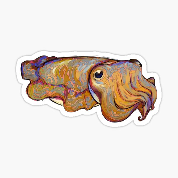 Item preview, Guillaume the Cuttlefish designed and sold by castleofjo.