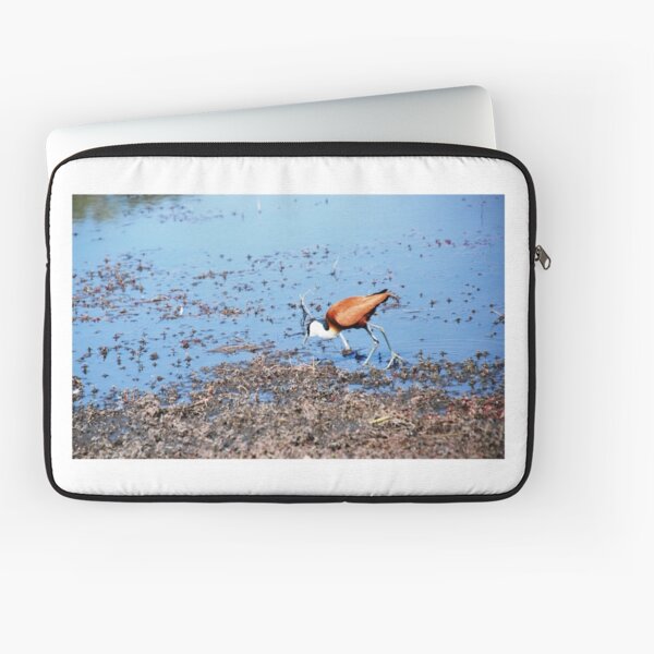 Jacana 1 Laptop Sleeve