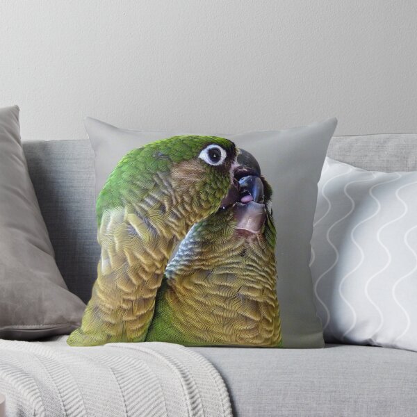 Aperçu de l'œuvre Joyeuse saint Valentin! - Bubbles & Echo - Conure à ventre marron NZ créée et vendue par AndreaEL.
