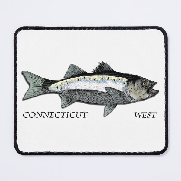 Item preview, Connecticut Long Island Sound West surf casting for striped bass designed and sold by hookink.