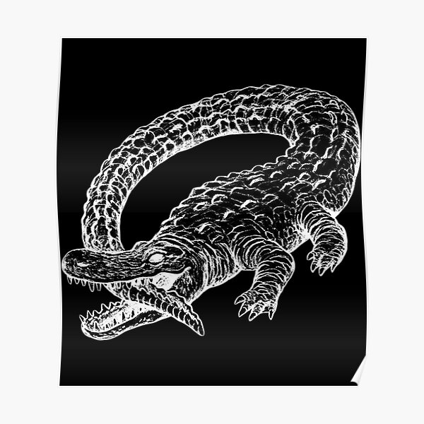 "Crocodile Catfish And The Bottlemen The Ride Sticker" Poster for Sale