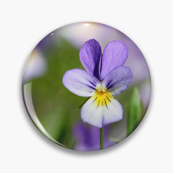 Item preview, One for all. Wild pansy designed and sold by Jouko Lehto Photography.