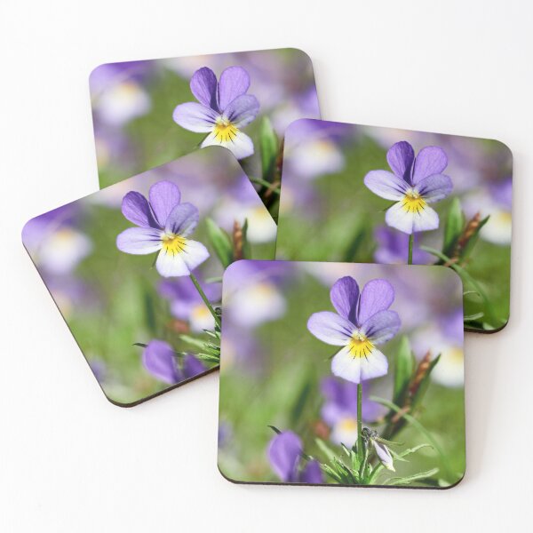 Item preview, One for all. Wild pansy designed and sold by Jouko Lehto Photography.
