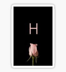 Harry Sticker