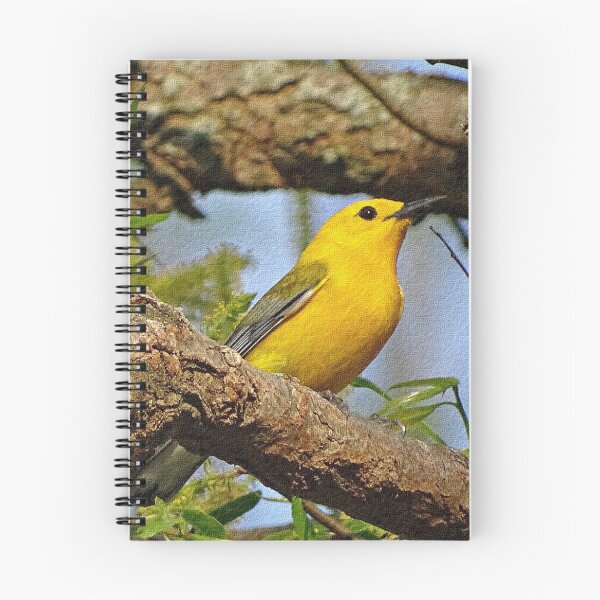 Item preview, Prothonotary Warbler II designed and sold by Sandy Keeton.