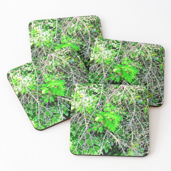 Item preview, DUST Cont'd designed and sold by Leajato Robinson.