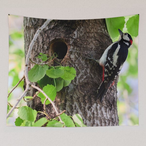 Item preview, Oh Lord help me with these kids. Great spotted woodpecker designed and sold by Jouko Lehto Photography.