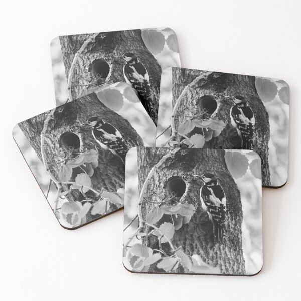 Item preview, Mouth full shut. Great spotted woodpecker bw designed and sold by Jouko Lehto Photography.