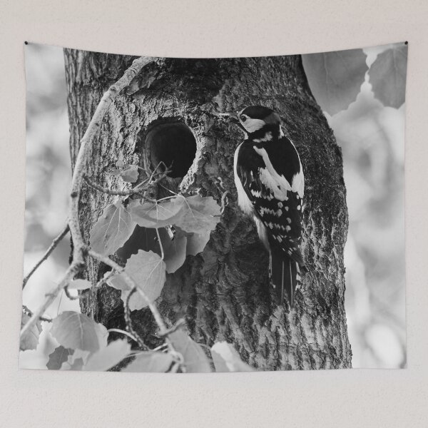 Item preview, Mouth full shut. Great spotted woodpecker bw designed and sold by Jouko Lehto Photography.