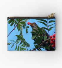 Berry Happy Blackbird - Juvenile Blackbird - NZ Studio Pouch