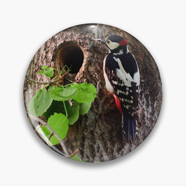 Item preview, Mouth full shut. Great spotted woodpecker designed and sold by Jouko Lehto Photography.