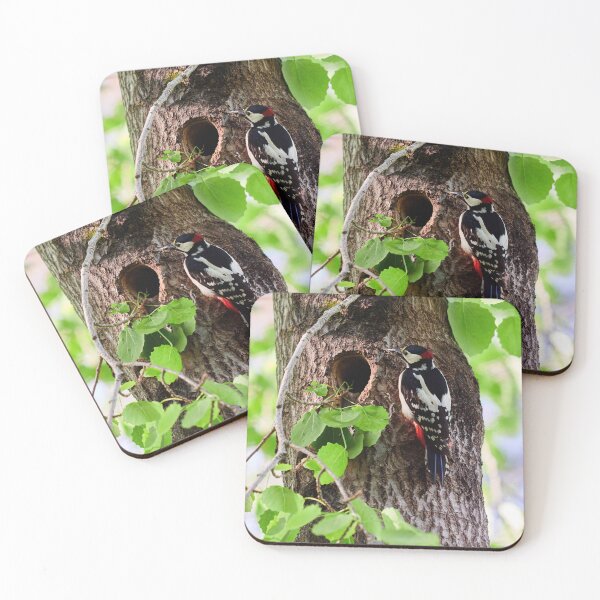 Item preview, Mouth full shut. Great spotted woodpecker designed and sold by Jouko Lehto Photography.