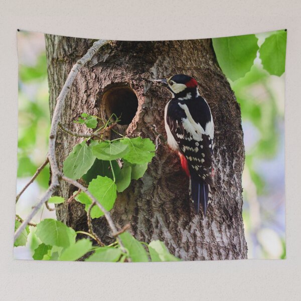 Item preview, Mouth full shut. Great spotted woodpecker designed and sold by Jouko Lehto Photography.