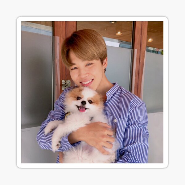 ¡BTS Jimin con un lindo perro! Pegatina