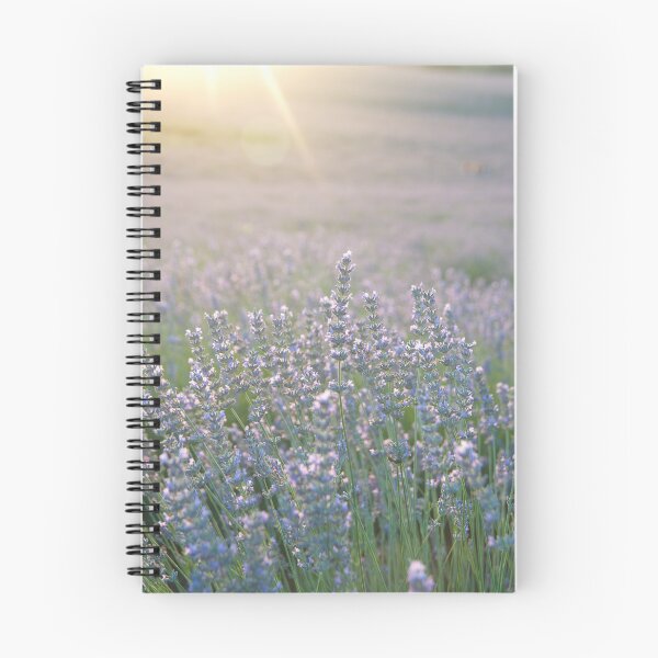 Item preview, Lavender fields, evening light designed and sold by Daridara.
