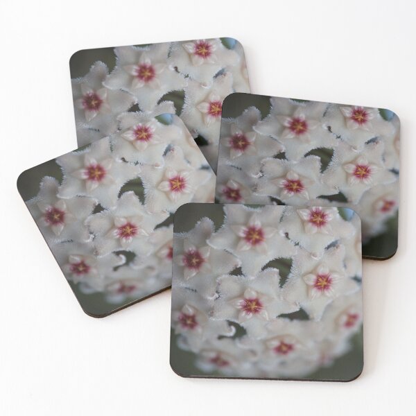 Item preview, Hoya Mathilde designed and sold by ztrnorge.