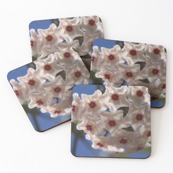 Item preview, Hoya Mathilde designed and sold by ztrnorge.