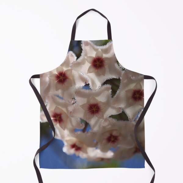 Item preview, Hoya Mathilde designed and sold by ztrnorge.