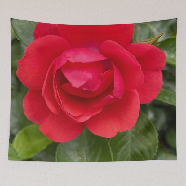 Item preview, China Red Rose by Mark Ewing designed and sold by LifeSpice.