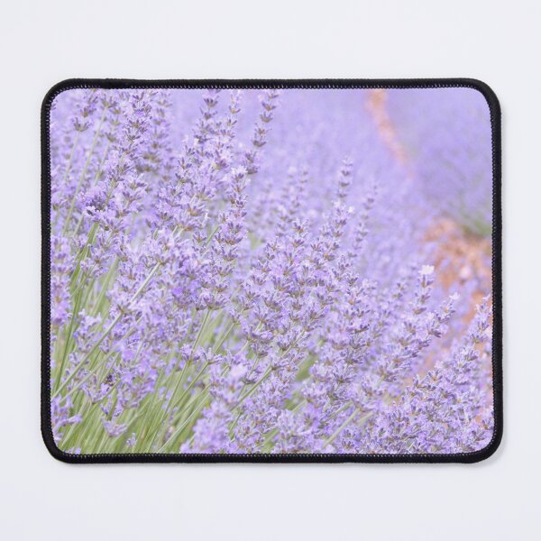 Item preview, Lavender designed and sold by Daridara.