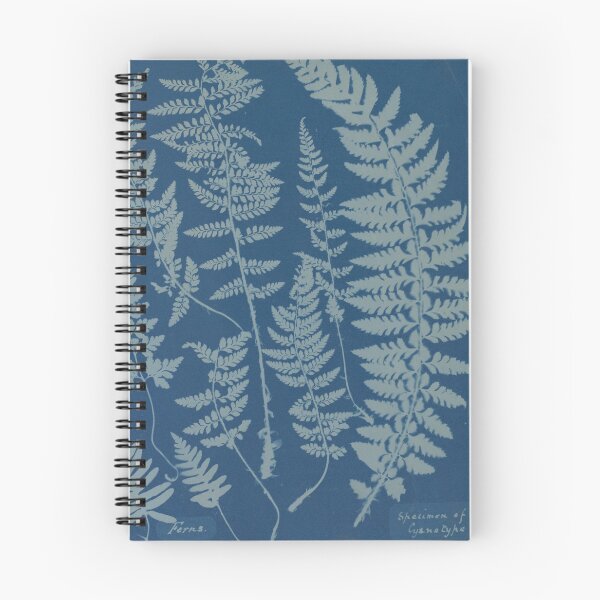Item preview, Anna Atkins "Ferns. Specimen of Cyanotype" 1840s designed and sold by daisiesandlove.