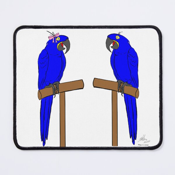Item preview, Crazy Bird Lady with Hyacinth Macaws designed and sold by Laughing Parrot Studio.