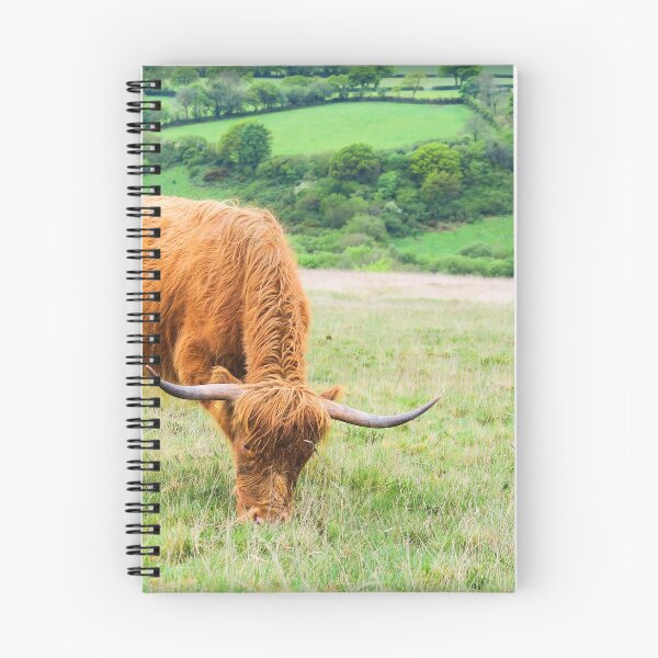 Item preview, Highland cow on the moor designed and sold by theresa knox.