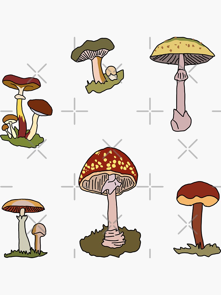 "Cartoon Mushrooms Sticker Pack" Sticker for Sale by marnilauren Redbubble