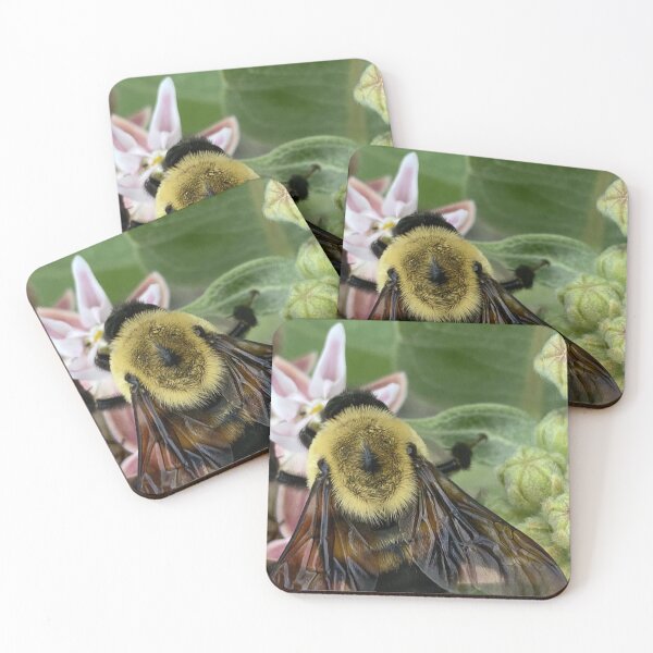 Item preview, Bumble Bee by Mark Ewing designed and sold by LifeSpice.
