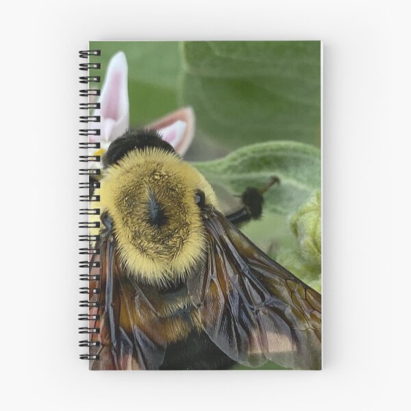 Item preview, Bumble Bee by Mark Ewing designed and sold by LifeSpice.