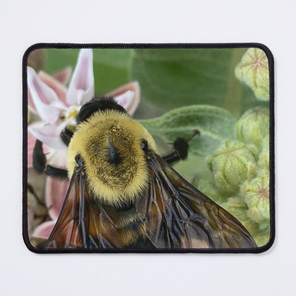 Item preview, Bumble Bee by Mark Ewing designed and sold by LifeSpice.