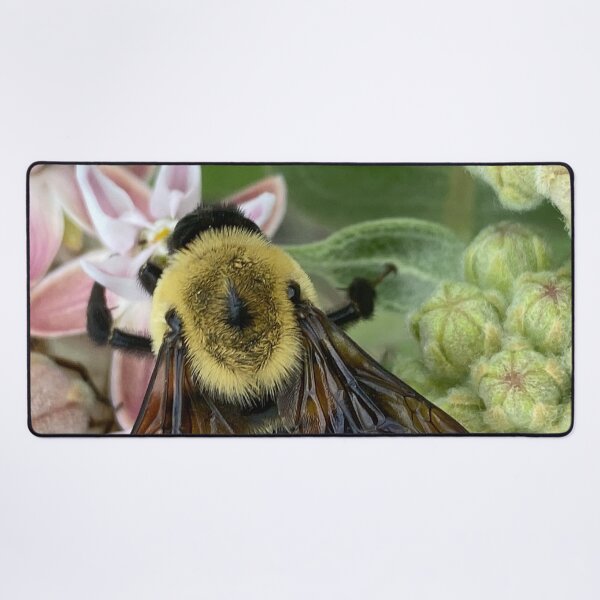 Item preview, Bumble Bee by Mark Ewing designed and sold by LifeSpice.