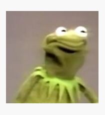 kermit the frog Photographic Print
