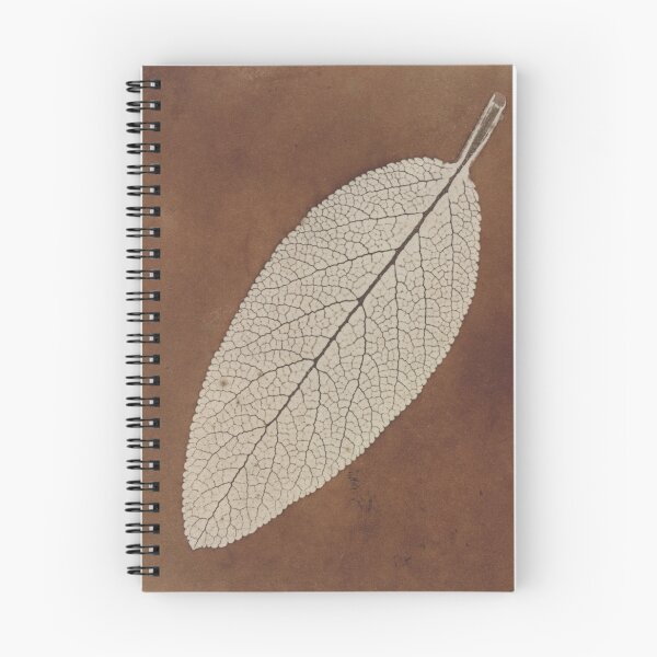 Item preview, William Henry Fox Talbot Leaf Study 1839/1840 designed and sold by daisiesandlove.