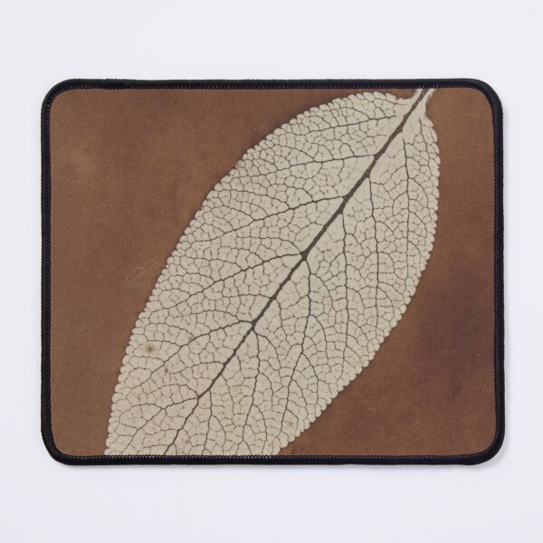 Item preview, William Henry Fox Talbot Leaf Study 1839/1840 designed and sold by daisiesandlove.