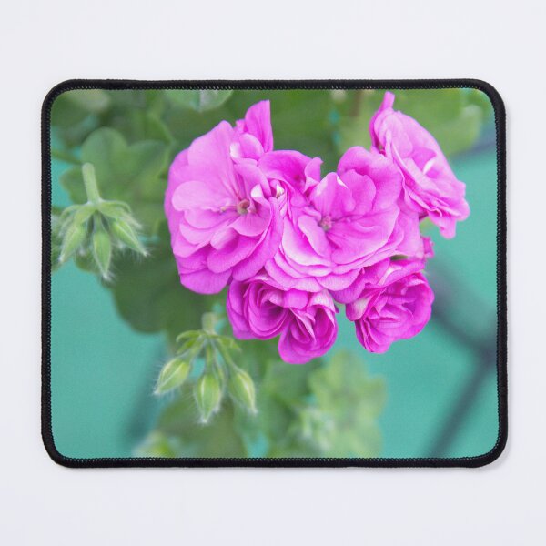 Item preview, Summer morning, pink pelargonium bloom designed and sold by Daridara.