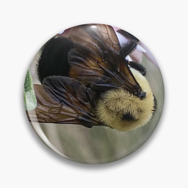 Item preview, Bumble Bee 2 by Mark Ewing designed and sold by LifeSpice.