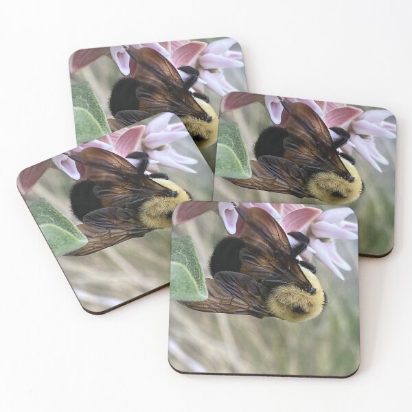 Item preview, Bumble Bee 2 by Mark Ewing designed and sold by LifeSpice.