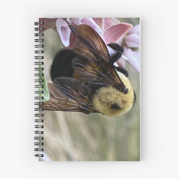 Item preview, Bumble Bee 2 by Mark Ewing designed and sold by LifeSpice.