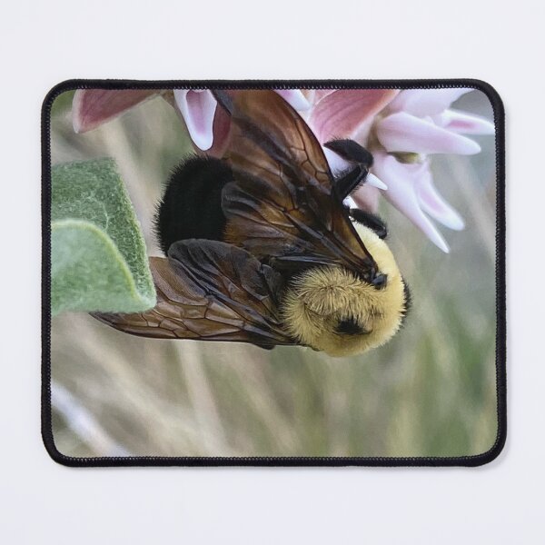 Item preview, Bumble Bee 2 by Mark Ewing designed and sold by LifeSpice.