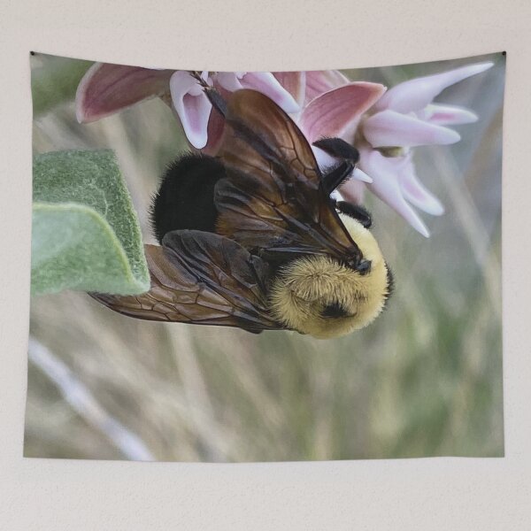 Item preview, Bumble Bee 2 by Mark Ewing designed and sold by LifeSpice.