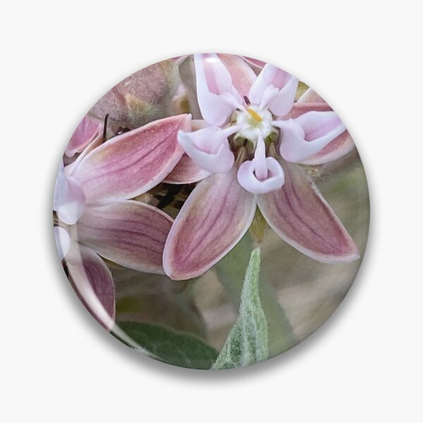 Item preview, Showy Milkweed by Mark Ewing designed and sold by LifeSpice.
