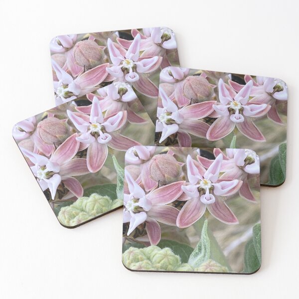 Item preview, Showy Milkweed by Mark Ewing designed and sold by LifeSpice.