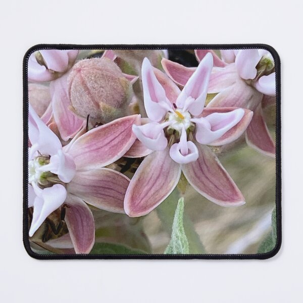 Item preview, Showy Milkweed by Mark Ewing designed and sold by LifeSpice.