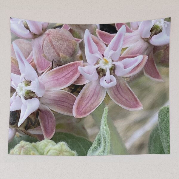 Item preview, Showy Milkweed by Mark Ewing designed and sold by LifeSpice.