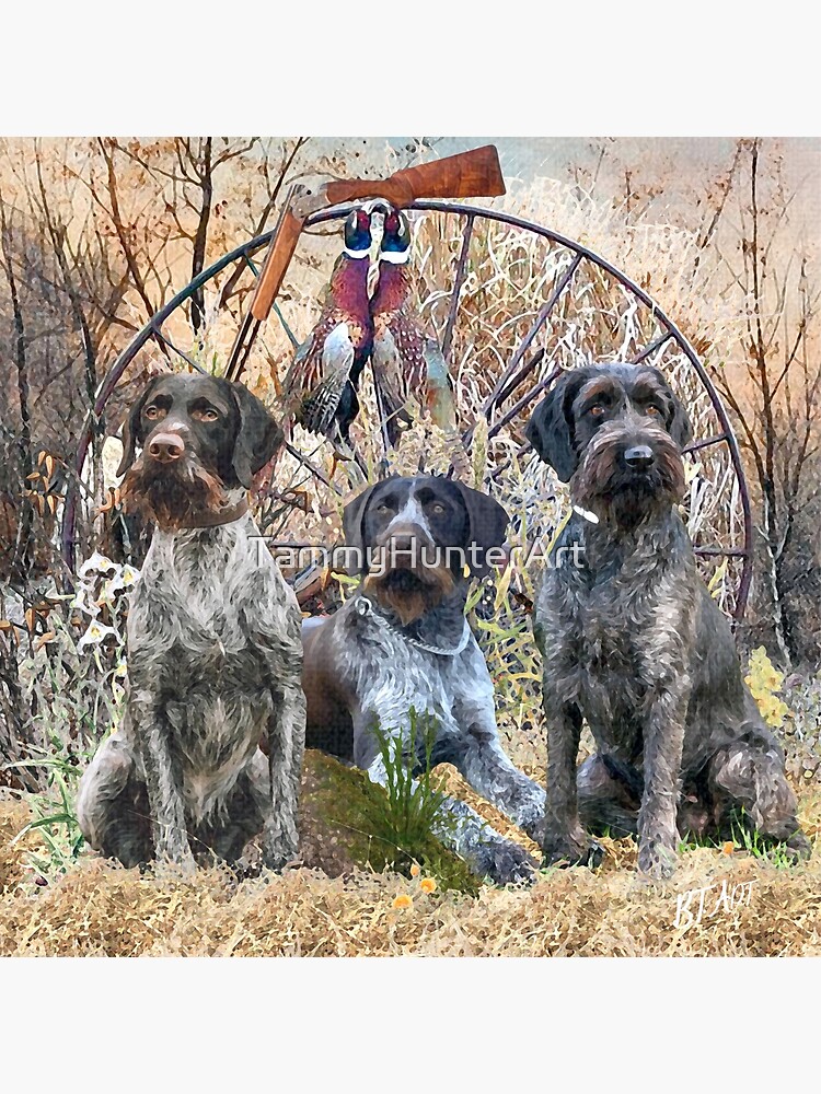 German Wirehaired Pointers with pheasants (GWP) Poster