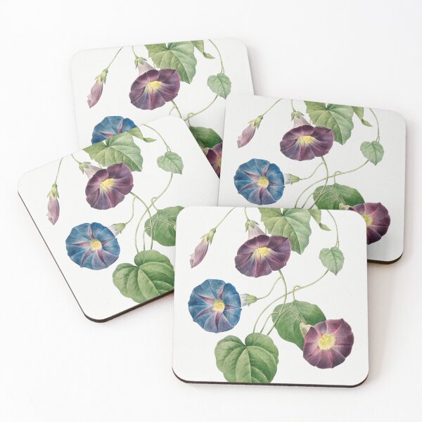 Item preview, Pierre-Joseph Redouté: Star-glory Morning–glory (1827) designed and sold by 0Serendipity0.
