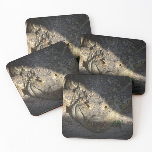 Item preview, large crocodile smiling with teeth showing while he lays in the shaded sand with a sliver of sun designed and sold by AlishaWatson.