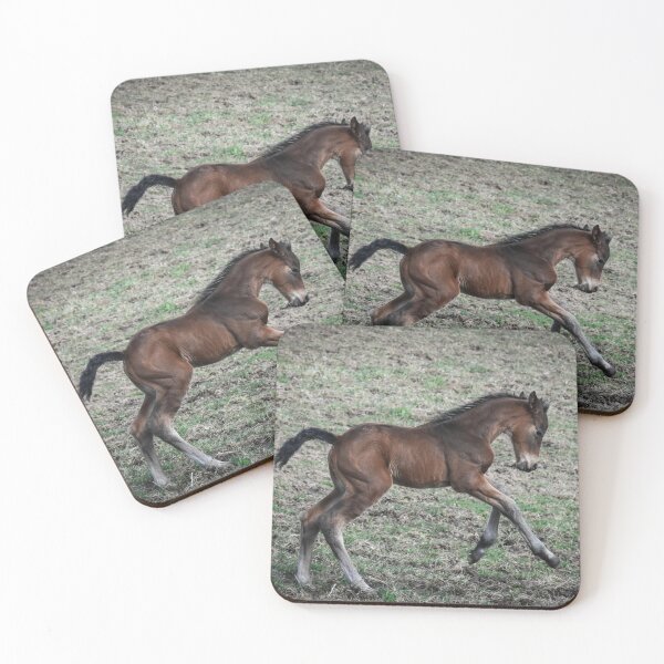 Item preview, Bay Warmblood Filly Cantering Outside designed and sold by AlishaWatson.